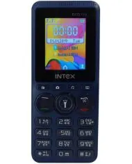 Intex