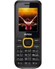 Intex