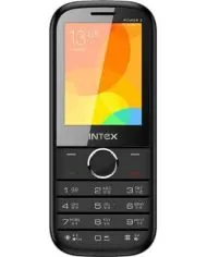 Intex