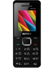 Intex