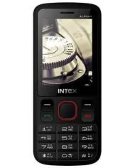 Intex